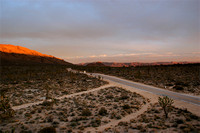 Mojave Desert II